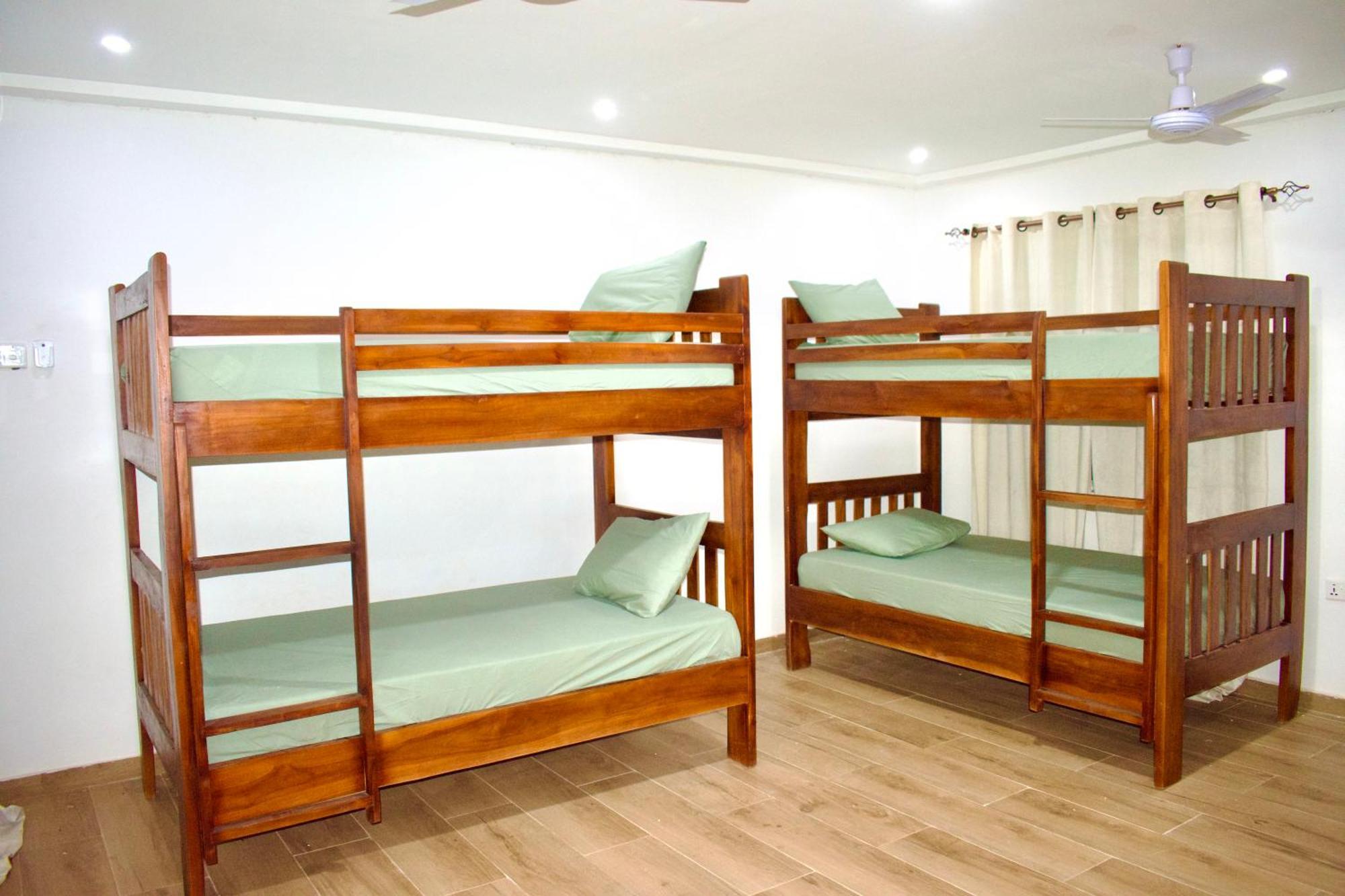 Tree House Hostel Tamale Kültér fotó